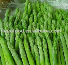 IQF Green Asparagus
