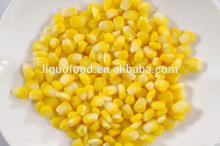 fresh canned sweet corn in tin
