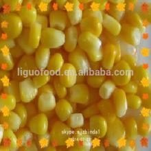 hot selling canned sweet corn use new materials factory direct sale