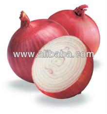  Indian   Fresh   Onion 