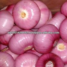 Fresh red onions