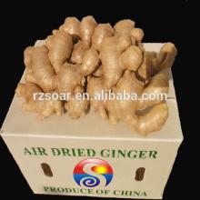chinese air dry ginger