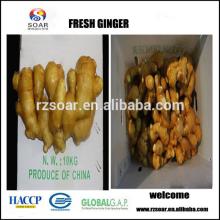 Fresh ginger,250g up ginger