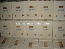 air dry ginger export to europe