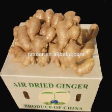 Dry Ginger