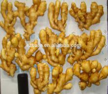 2014 chinese fresh ginger