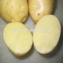 Fresh potato-cutted