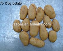 holland fresh potatoes