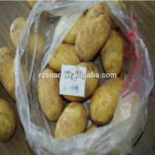 potato export company