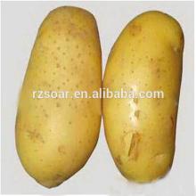 flesh yellow Fresh potato