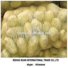 Fresh potato packed in mesh bag