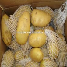 100% pure fresh holland potatoes