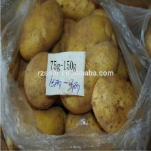 chinese Good Quality Fresh Potato