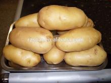 2014 Low Price Chinese Fresh Potatoes