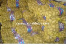 fresh vegetable-potato- market price