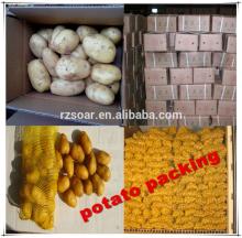 2014  Shandong   new   crop  Fresh  Potato  in Various Packing