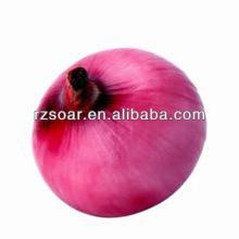 2014chinese new crop red onion
