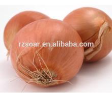 market price for yellow onion