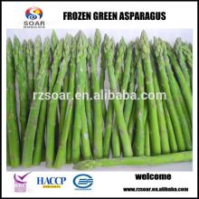new crop IQF frozen green asparagus