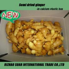 2014new crop semi dried ginger