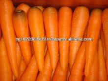 Carrots