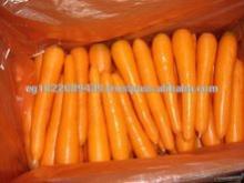 carrot