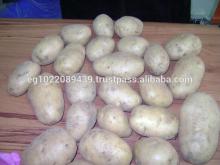 Fresh potato