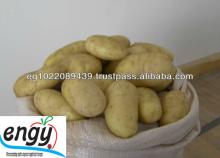potato