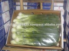 spring onion