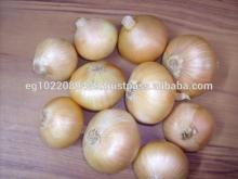 Yellow onion