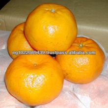 Fresh  mandarin 