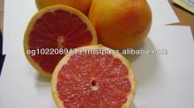 Grapefruit