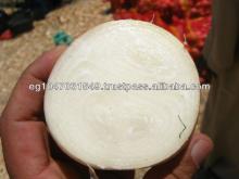Fresh Yellow Onion