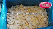 Dubai frozen food importer