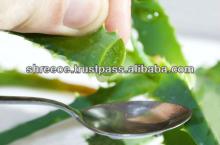 Aloe Gel for Skin Natural Fairness