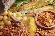 Organic maize starch