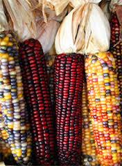 High quality Maize starch