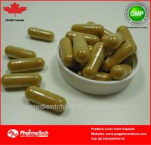 Health Canada GMP Halal certified manufacturing liver tonic capsule