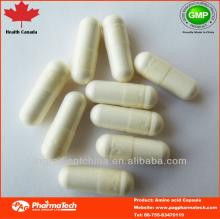 Health Canada GMP certified nutrition food Amino acid complex capsule