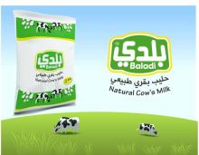 Baladi Milk