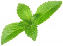Organic Dried Stevia Leaves