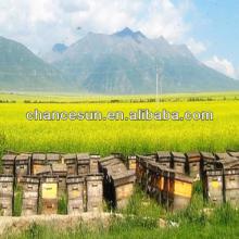 Chinese Mixed Bee Pollen