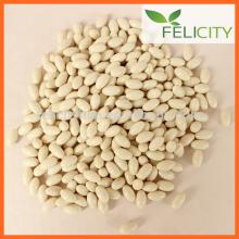 OEM service Collagen Protein calcium Soft Capsule