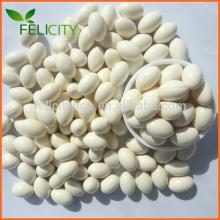 Pure Anti-aging collagen protein capsules for skin whitening capsules