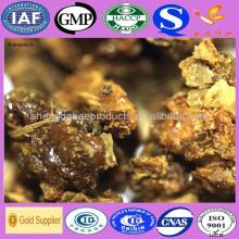 Bulk natural refined  propolis   extract 