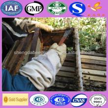 Hot selling Propolis, propolis softgel, propolis tablet