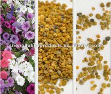 Natural organic honey bees pollen for sale with best price