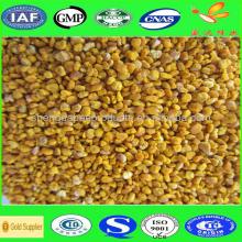 Bulk Wholesale Organic Bee Pollen