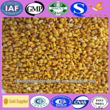 Bee product bee pollen granules from experienced factory in China