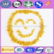 Hot sale 100 mesh bee feed bee pollen powder
